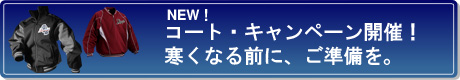 �싅�R�[�g�B