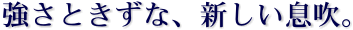 �����Ƃ����ȁA�V���������B